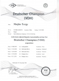 vdh-champion-certificate.jpg